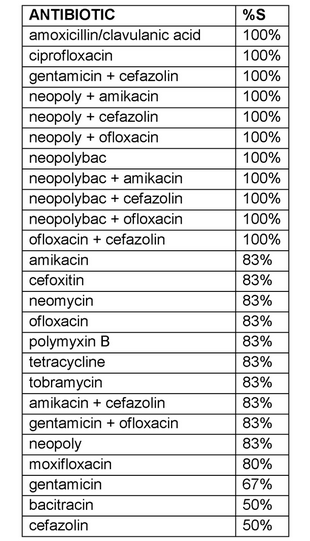 Gram negative rods